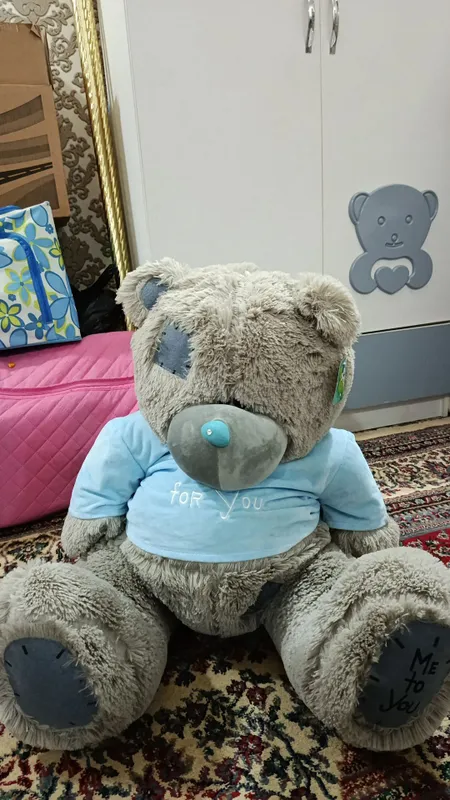teddy ayigʻi