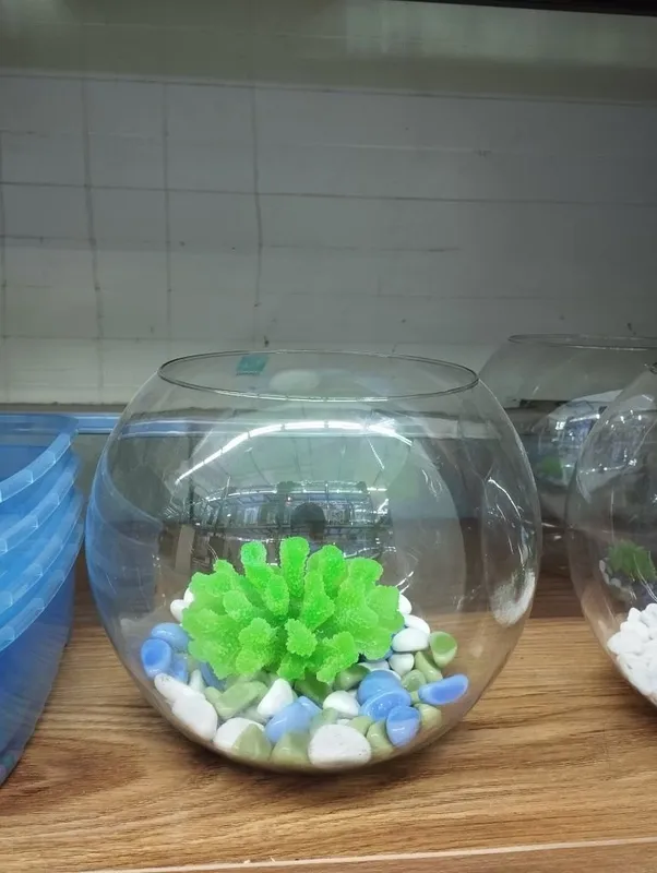 dumalo akvarium 6litrli dumalo akvarium 6litrli