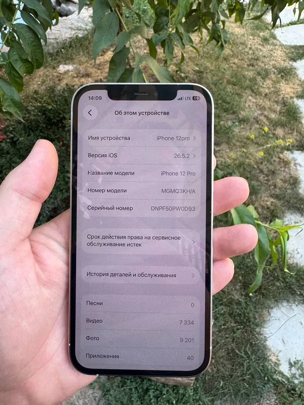 Pro 4