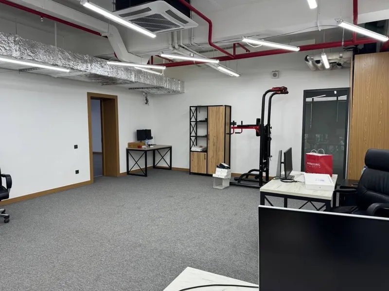 Аренда коммерческое помещение в БЦ Onyx 268 м2 4