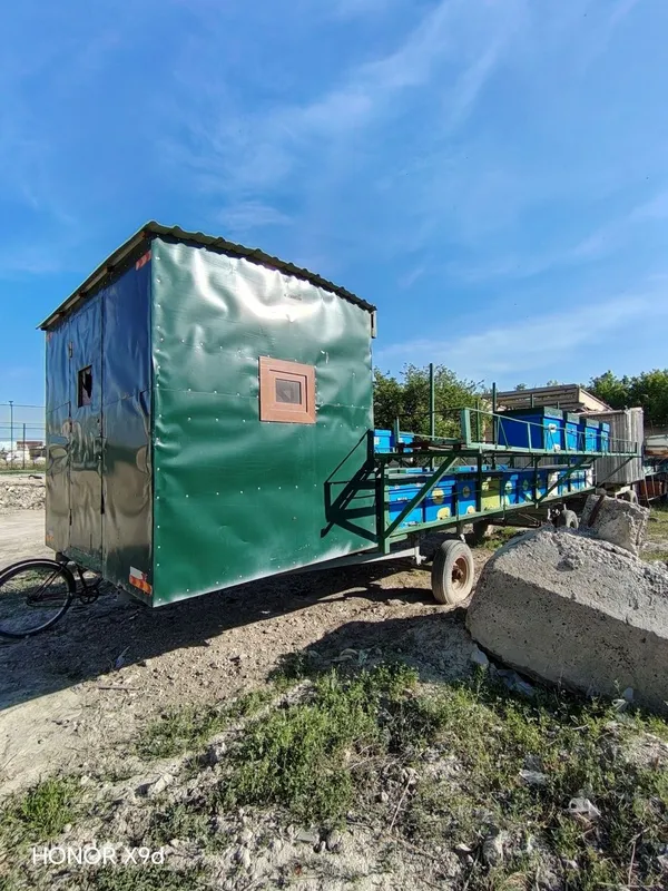 Asal Ari Povilyoni sotiladi, asal arilari bilan. — фото 1