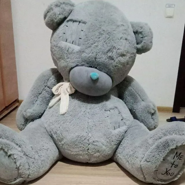 ayiq sotiladi