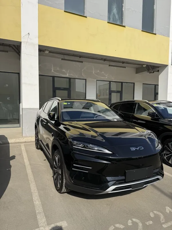 Byd chempion smart