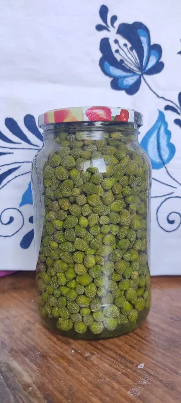 Продаются каперсы 1 Продаются каперсы 1