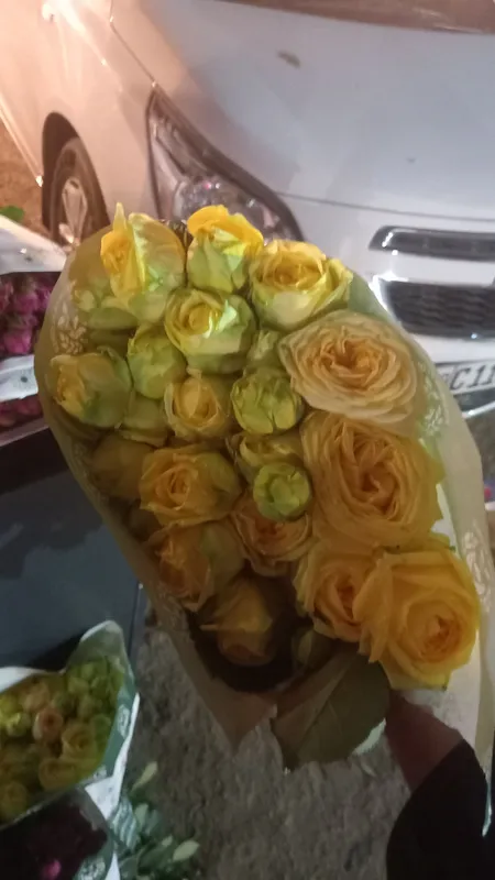 optim hamiyonbop narhlarda chiroyli gullar — фото 1