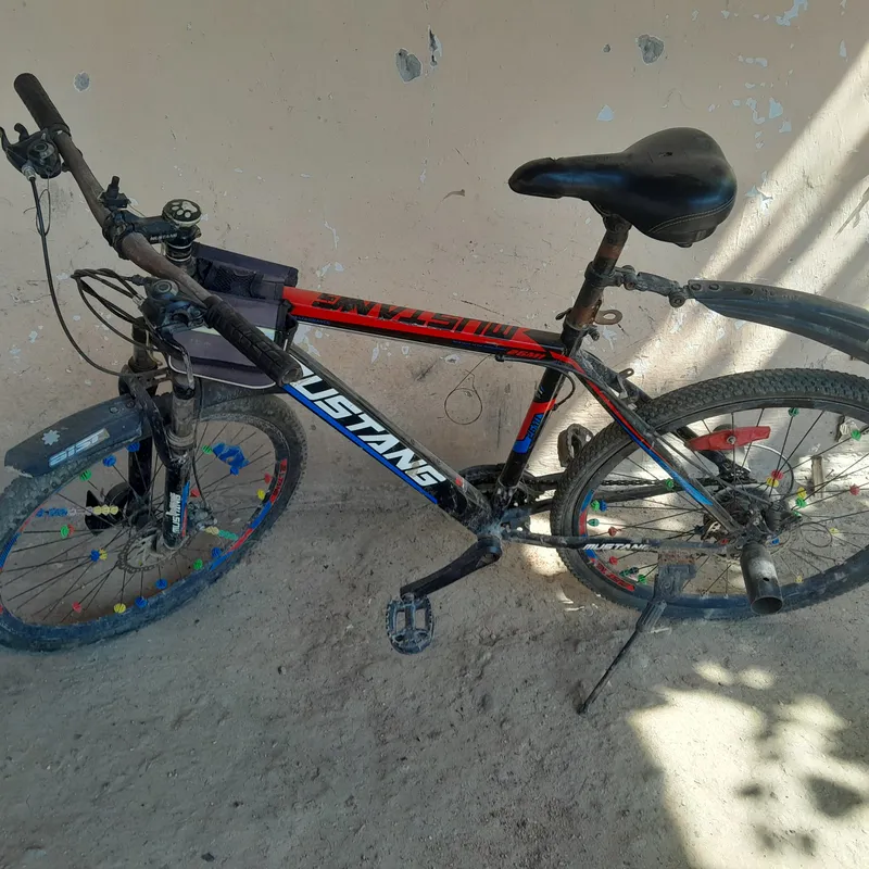 velosapet 3