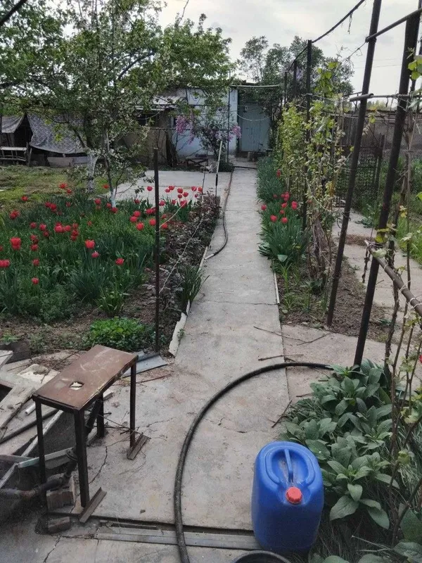 (М) Дача 18 соток с домом 80 м² у реки Ангрен | Прописка — фото 2