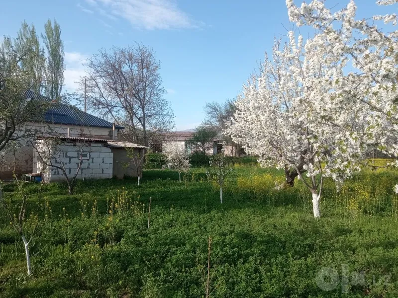 Участок площадью 7,5 сотки 9 Участок площадью 7,5 сотки 9