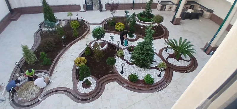 Gazon ekiw xizmati