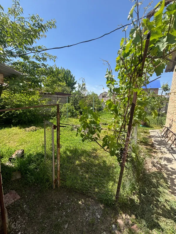 Продам свой участок яшнабад — фото 8