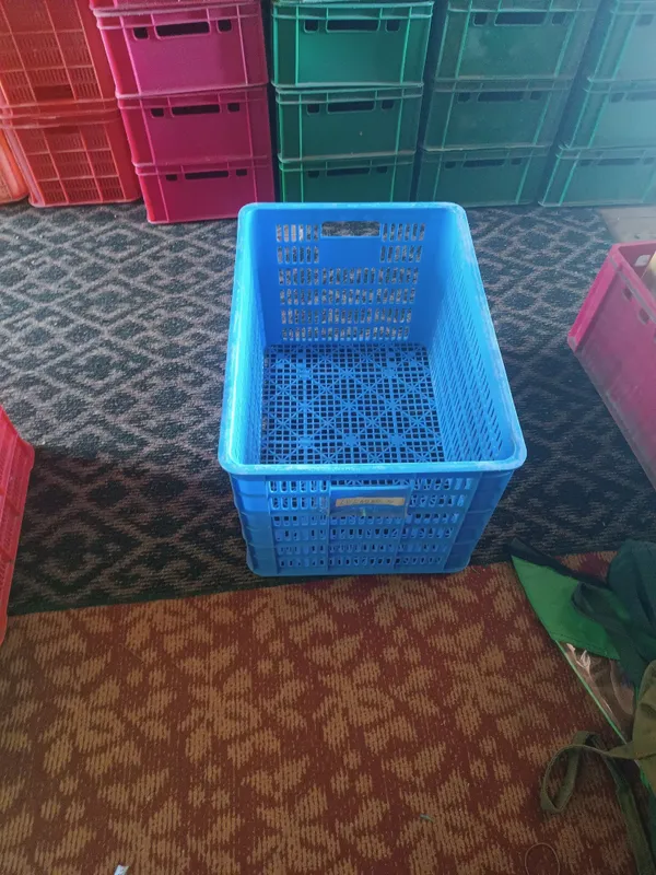 Plasmasa yashik tara