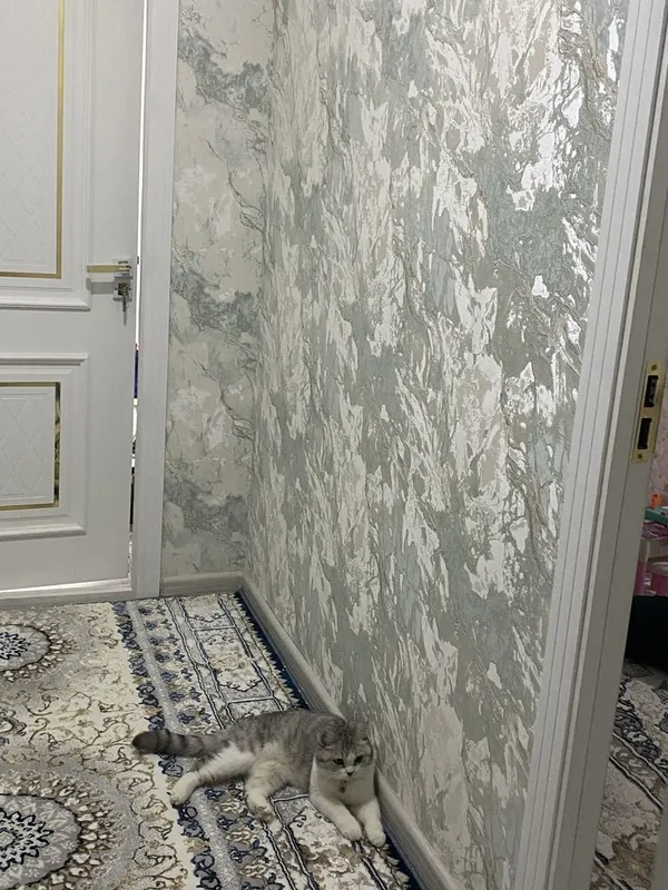 мушук сотилади срочно 3