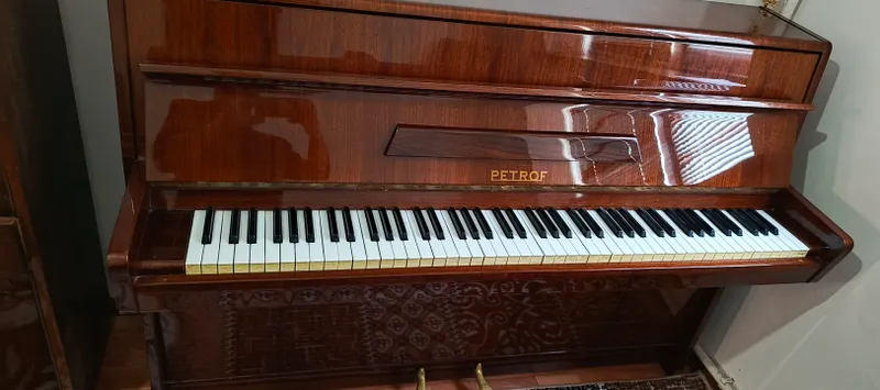 pionino — фото 1