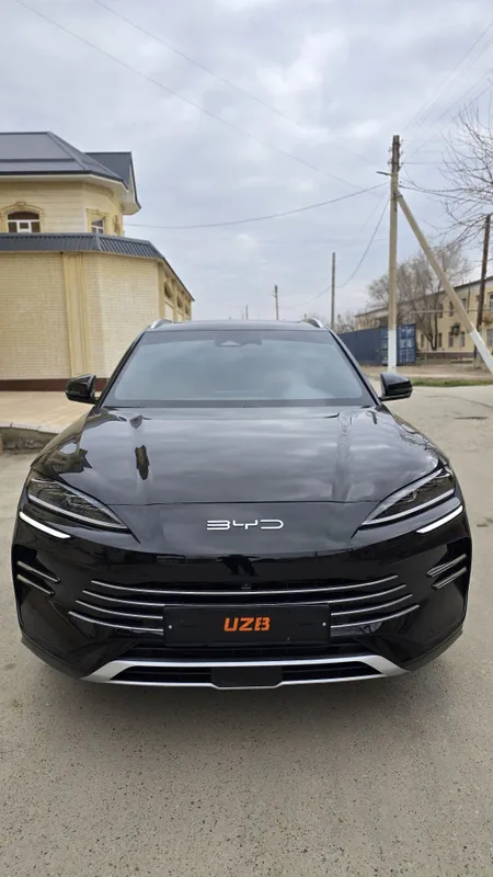 BYD CHampion DM-i — фото 1