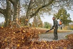Аренда Воздуходувка Воздуходув Прокат Воздух дуф Дастафка есть 24.7 — фото 2