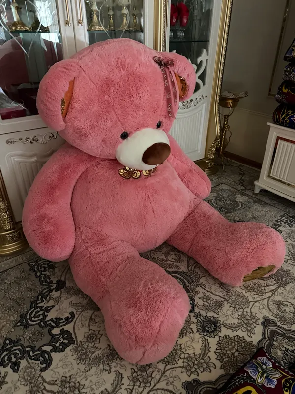 Teddy Teddy