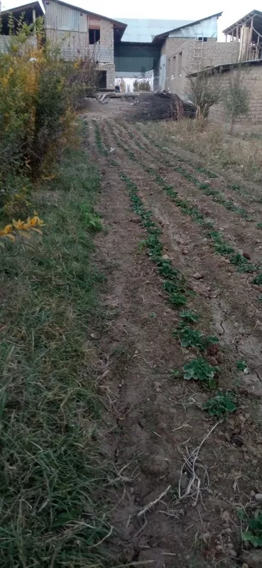 Учаска сотилади Халбодда — фото 2