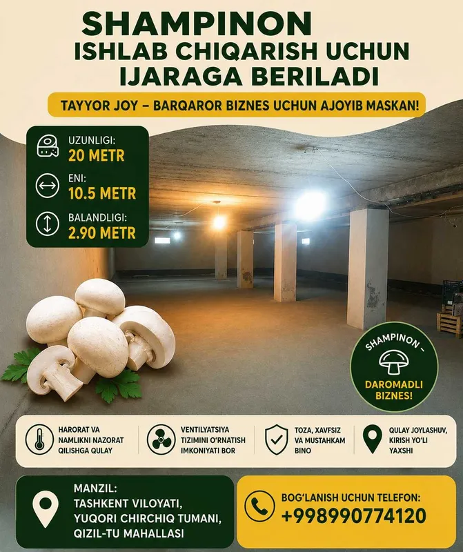 Shampinon ishlab chiqarishga ijaraga beriladi.