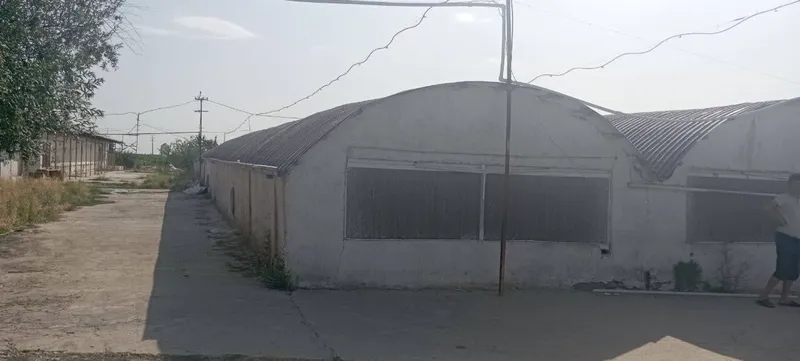 Yangi ozbekistonda 10 gektar yer sotiladi — фото 1