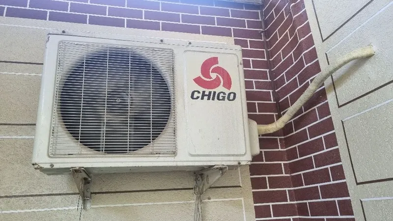 Chigo kansaner sotiladi ishlashi zoʻr 3