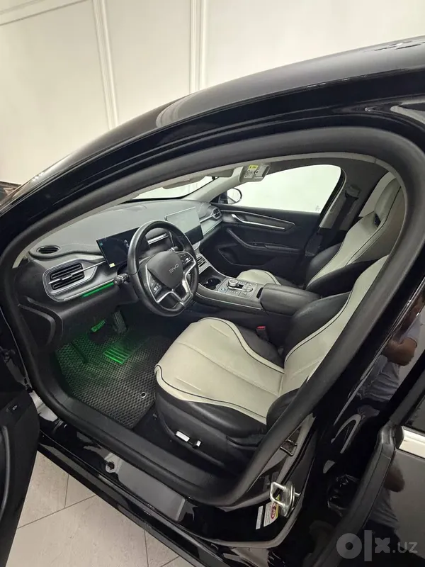 Byd Chazor Flagship full 4 Byd Chazor Flagship full 4