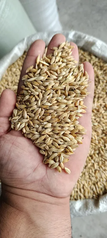 Qozogston Maxsulotlari 50 kg Alo sifatli% 2
