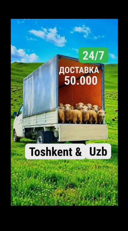 Dostavka Changan labo gazel Доставка чанган лабо газел Грузоперевозка