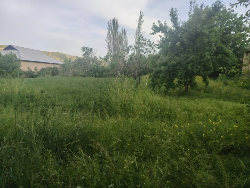 Dam olish maskani, Dacha va yashash uchun tabiat qo'ynidagi uchastka — фото 5