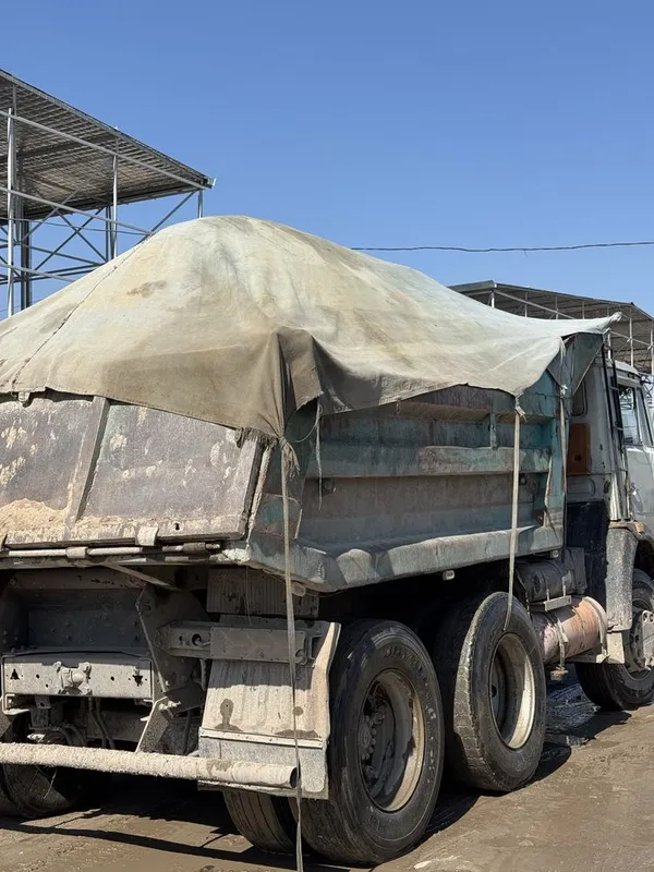 Klines sheben qum chinaz bluga sariq turpoq gisht poyma — фото 1
