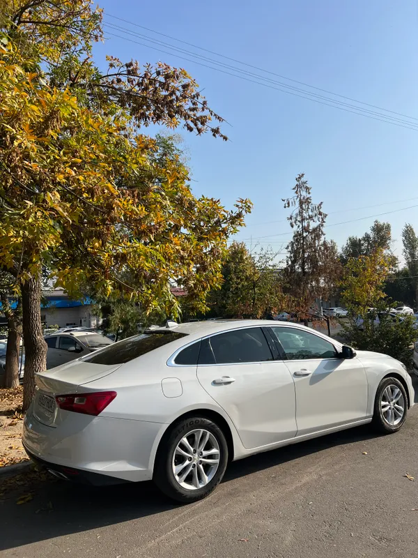 Malibu2 2018 3