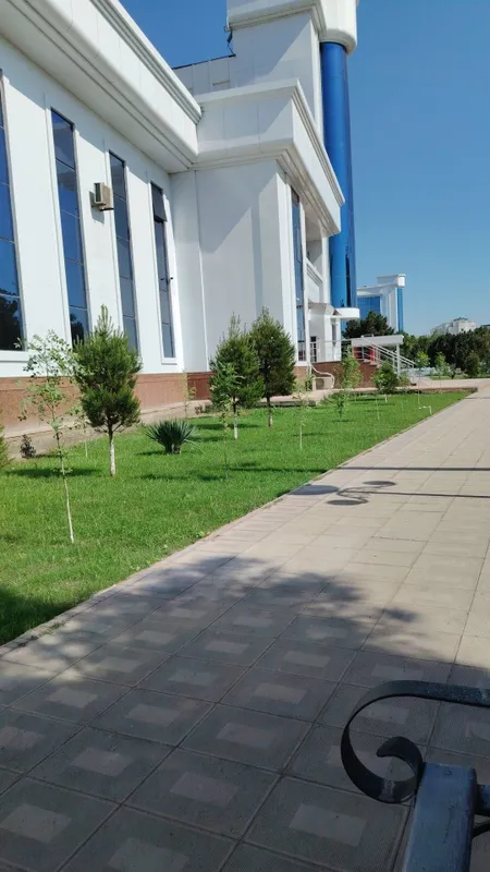 Тайёр Тирик рулонни газон — фото 3