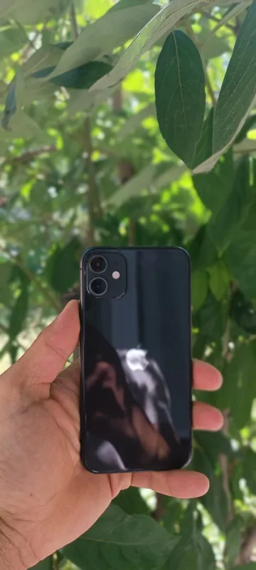 iPhone 11 iPhone 11