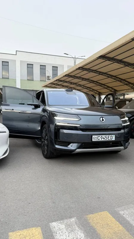 Denza n9 flagship2026 eng full restyling