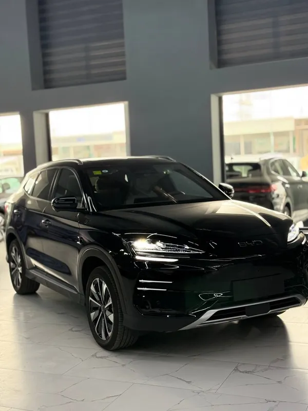 Byd chempion smart — фото 1