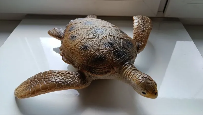 Игрушки Черепаха и Машинка
