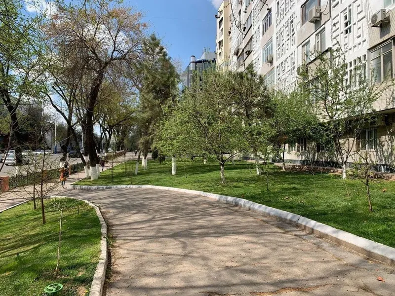 м. Хамид Алимжан • 130 м² • 5 кабинетов • вдоль проспекта Мустакиллик — фото 8