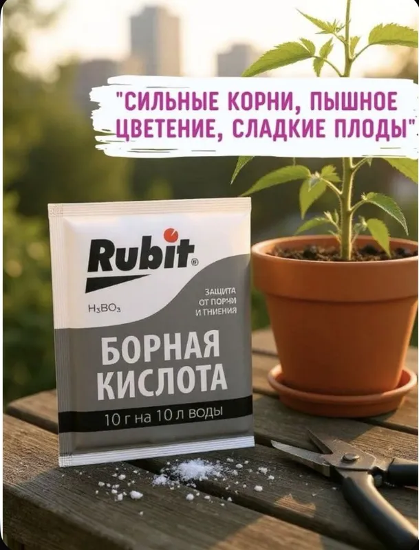Борная кислота для растений