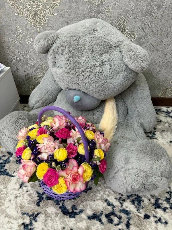 teddy