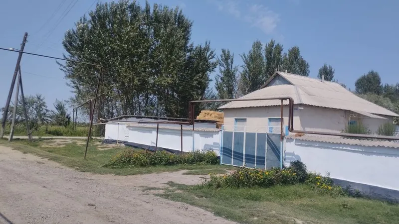 Уй сотилади 1 та Уй нархига 2 та уй зор уй зор нарх — фото 6
