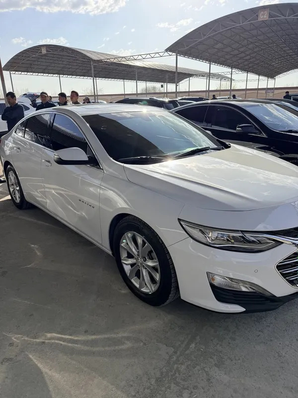Malibu 2018 Meton bo premer 1