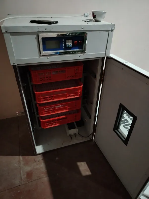 inkubator sotiladi 350 ta tuxum ketadi yangi