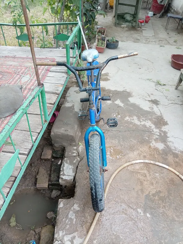 ganlan bnx