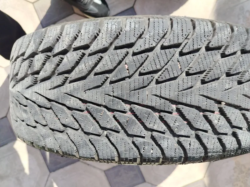 CORDIANT 205/55/16 зимние от МОНЗА 5 CORDIANT 205/55/16 зимние от МОНЗА 5