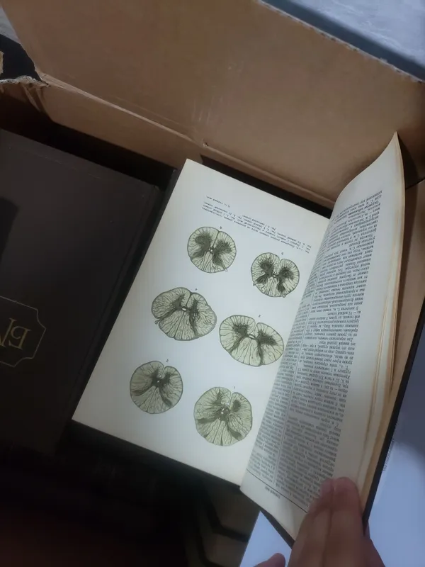 Книги БМЭ  медицинские 2