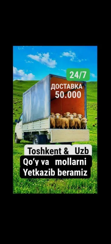 Dostavka Changan labo gazel Доставка чанган лабо газел Грузоперевозка