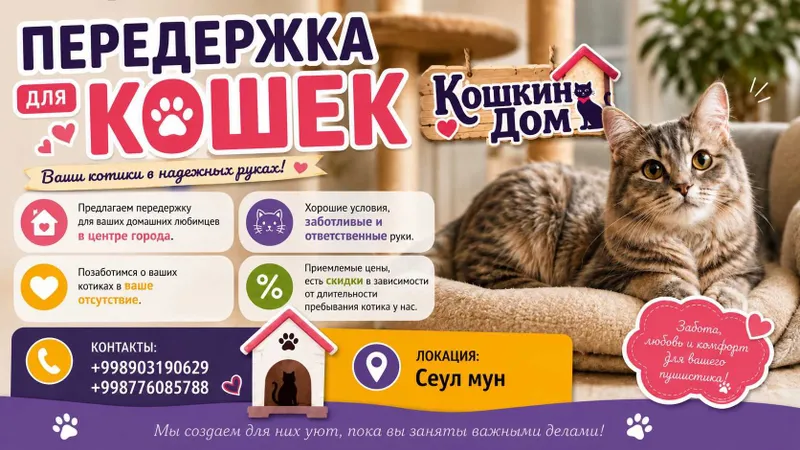 Передержка для кошек 3