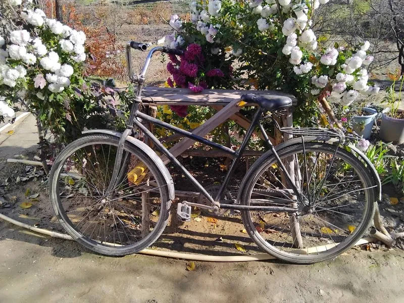 Velosped 28 sotiladi