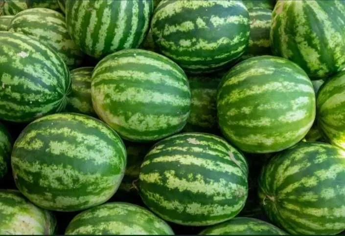Biznes xamkor kerak xalol biznesga 1