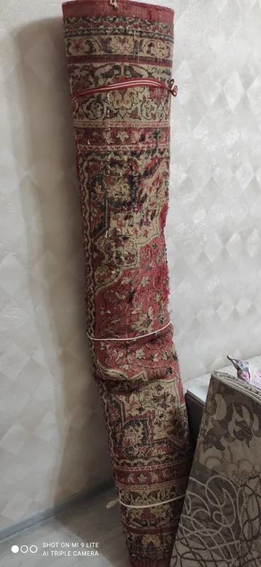 Продаётся палас в коридор для трёх комнатной квартиры. — фото 1