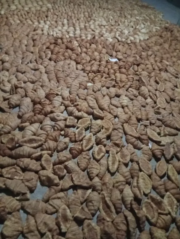 Toza quritilgan non maxsulotlari (yem sifatida) 5 Toza quritilgan non maxsulotlari (yem sifatida) 5